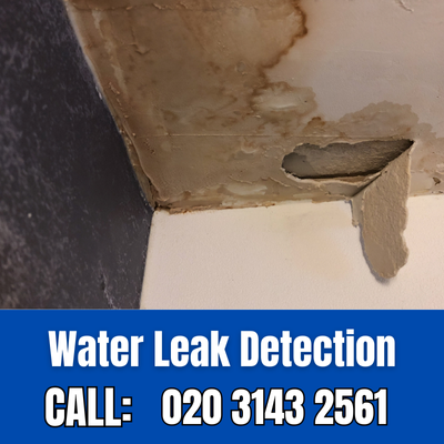 Expert Water Leak Detection Services in Battersea | Battersea Leak Detection